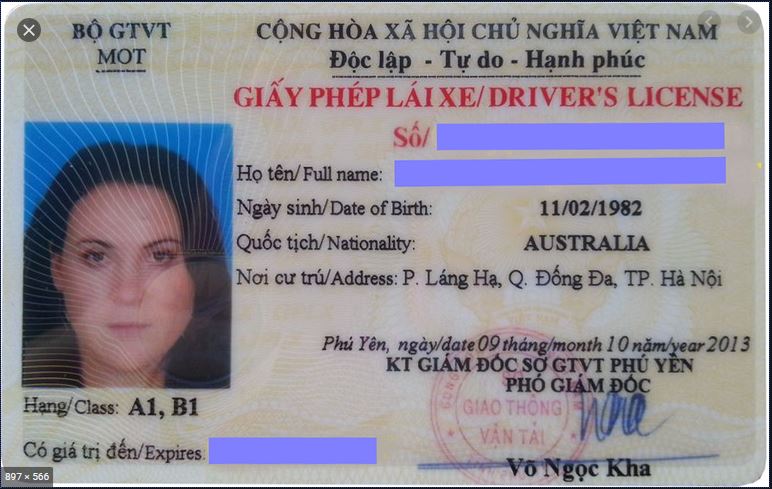 Vietnamese Driving license